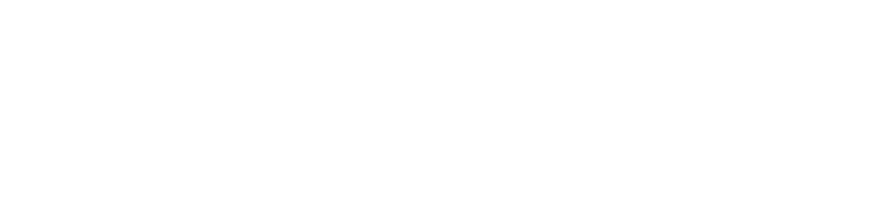 Briem SalesConsult